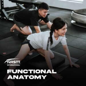 NASM Functional Anatomy - Online Fitness Course Singapore