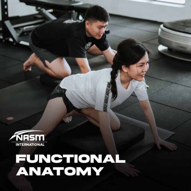 NASM Functional Anatomy - Online Fitness Course Singapore